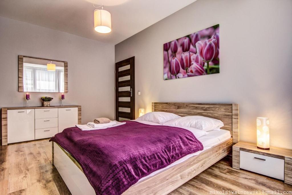Apartamenty Oaza Deluxe Ζακοπάνε Εξωτερικό φωτογραφία